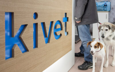 Caso de éxito: Proyecta TIC y Kivet